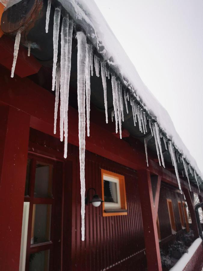 Ferienanlage Zum Silberstollen 2 Haeuser Am Berg Polderhof Und Weisseritzhuette Altenberg Eksteriør billede